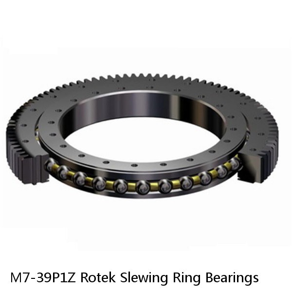 M7-39P1Z Rotek Slewing Ring Bearings