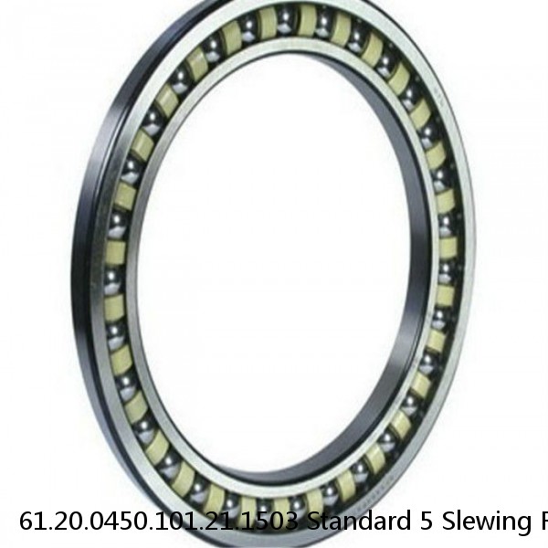 61.20.0450.101.21.1503 Standard 5 Slewing Ring Bearings