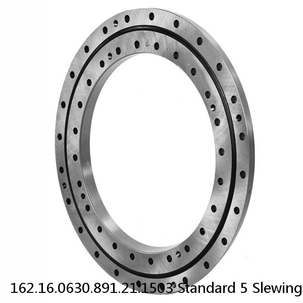 162.16.0630.891.21.1503 Standard 5 Slewing Ring Bearings