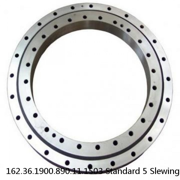 162.36.1900.890.11.1503 Standard 5 Slewing Ring Bearings #1 small image