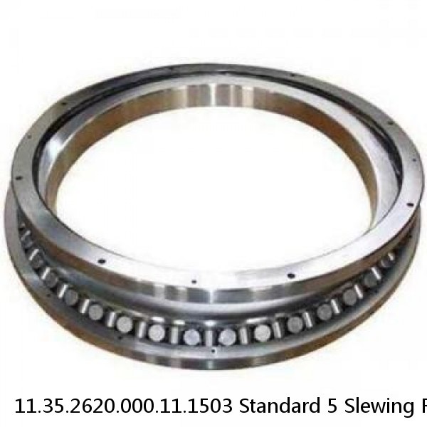 11.35.2620.000.11.1503 Standard 5 Slewing Ring Bearings #1 small image