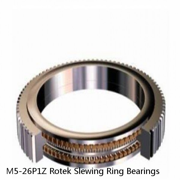 M5-26P1Z Rotek Slewing Ring Bearings #1 image