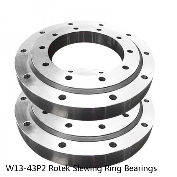 W13-43P2 Rotek Slewing Ring Bearings #1 image