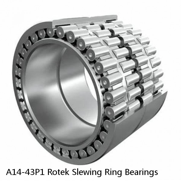 A14-43P1 Rotek Slewing Ring Bearings #1 image