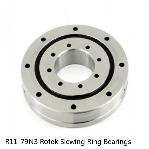 R11-79N3 Rotek Slewing Ring Bearings #1 image