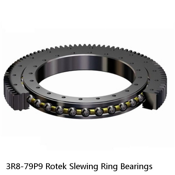 3R8-79P9 Rotek Slewing Ring Bearings #1 image