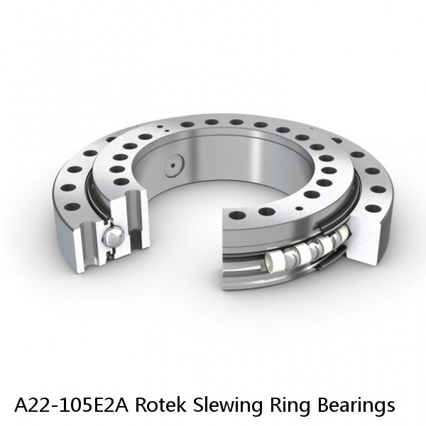 A22-105E2A Rotek Slewing Ring Bearings #1 image