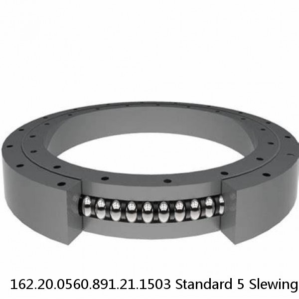 162.20.0560.891.21.1503 Standard 5 Slewing Ring Bearings #1 image