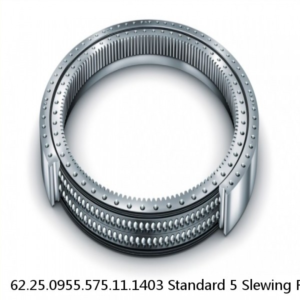 62.25.0955.575.11.1403 Standard 5 Slewing Ring Bearings #1 image