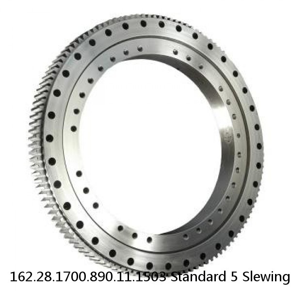 162.28.1700.890.11.1503 Standard 5 Slewing Ring Bearings #1 image