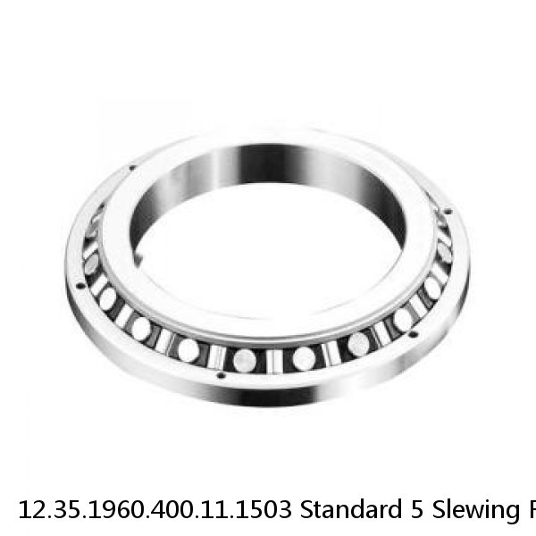 12.35.1960.400.11.1503 Standard 5 Slewing Ring Bearings #1 image