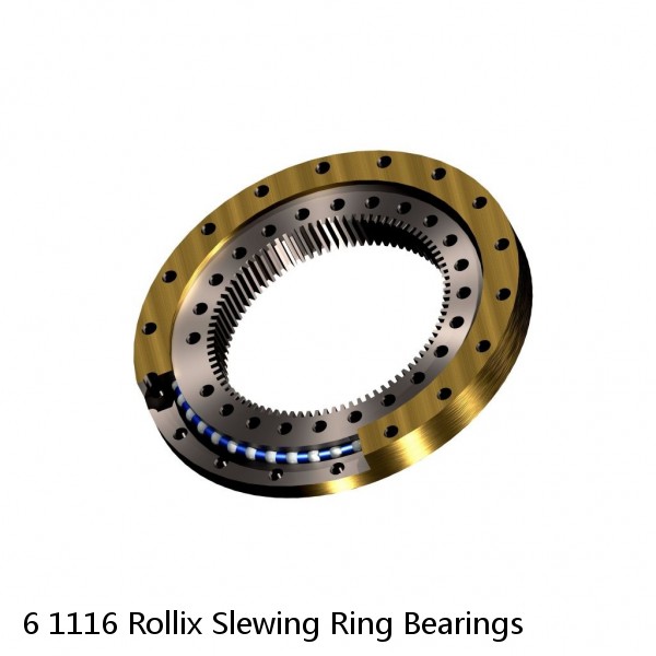 6 1116 Rollix Slewing Ring Bearings #1 image