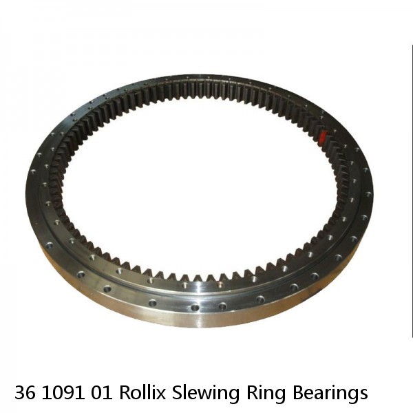 36 1091 01 Rollix Slewing Ring Bearings #1 image