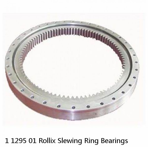 1 1295 01 Rollix Slewing Ring Bearings #1 image